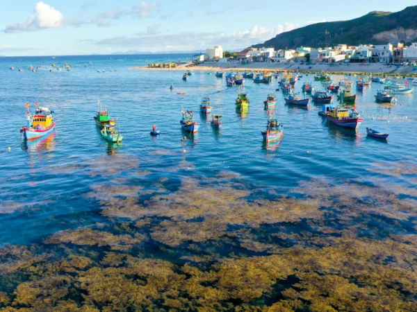 Private transport Vietnam journey view in Quy Nhon