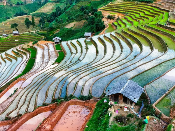 Private transport Vietnam journey view in Mu Cang Chai