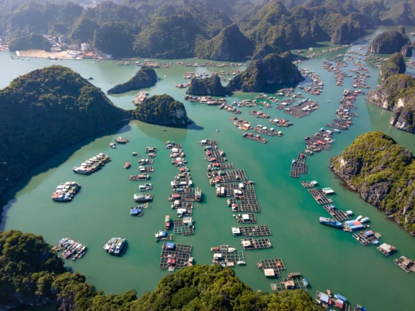 Private transport Vietnam journey view in Cat Ba Island
