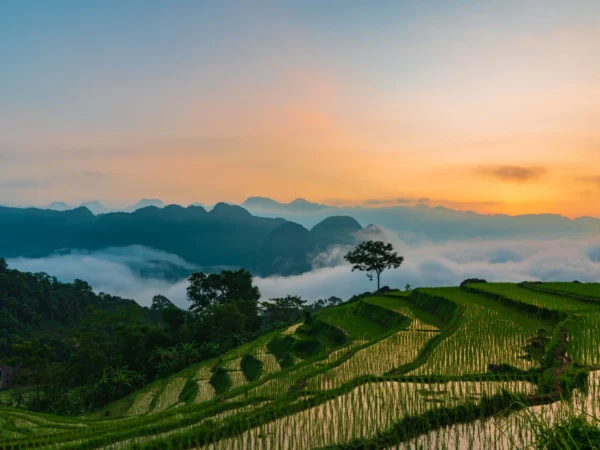 Private transport Vietnam journey view in Pu Luong